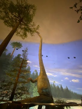 福井県立恐竜博物館に投稿された画像（2023/9/16）