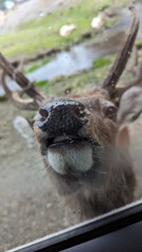 那須サファリパークに投稿された画像（2023/9/16）