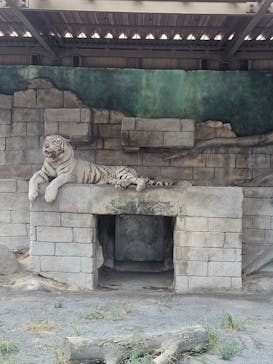 東武動物公園に投稿された画像（2023/9/16）