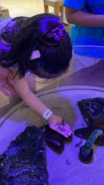 南知多ビーチランド＆南知多おもちゃ王国に投稿された画像（2023/9/16）