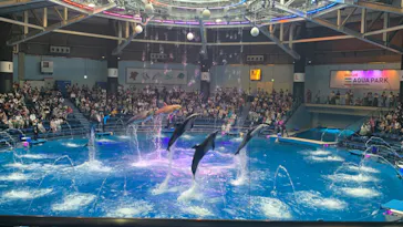 マクセル アクアパーク品川に投稿された画像（2023/9/16）