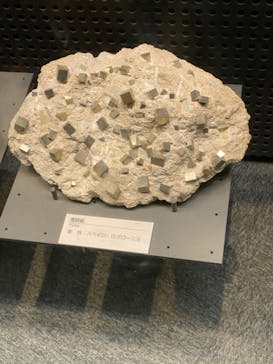 福井県立恐竜博物館に投稿された画像（2023/9/16）