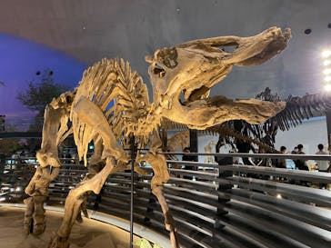 福井県立恐竜博物館に投稿された画像（2023/9/16）