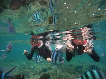 武藤潜水に投稿された画像（2023/9/16）