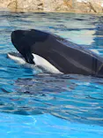 名古屋港水族館に投稿された画像（2023/9/16）
