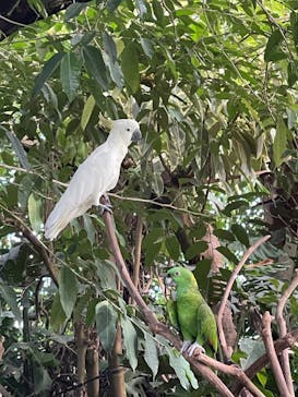 アロハガーデンたてやまに投稿された画像（2023/9/16）