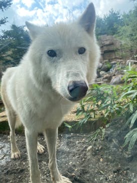 那須どうぶつ王国に投稿された画像（2023/9/16）