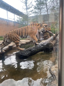 那須どうぶつ王国に投稿された画像（2023/9/16）