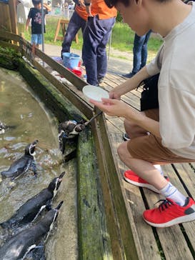 那須どうぶつ王国に投稿された画像（2023/9/16）