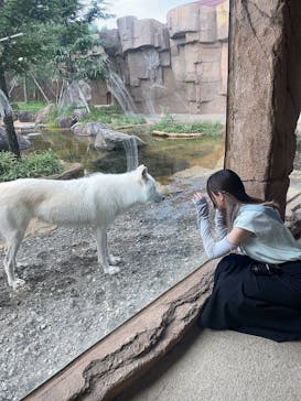 那須どうぶつ王国に投稿された画像（2023/9/16）