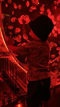 マクセル アクアパーク品川に投稿された画像（2023/9/16）