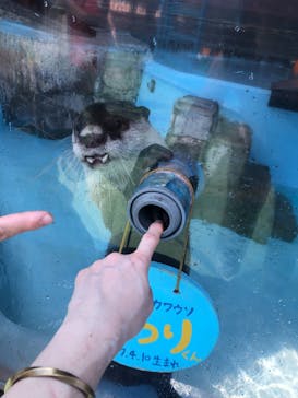 ゼロ距離水族館 伊勢シーパラダイスに投稿された画像（2023/9/16）