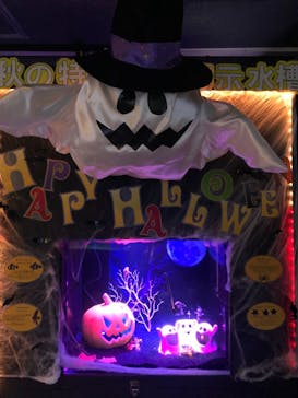 ゼロ距離水族館 伊勢シーパラダイスに投稿された画像（2023/9/16）