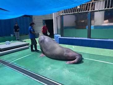 ゼロ距離水族館 伊勢シーパラダイスに投稿された画像（2023/9/16）