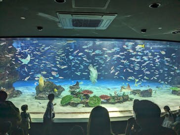 サンシャイン水族館に投稿された画像（2023/9/16）