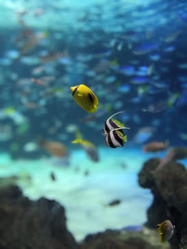 サンシャイン水族館に投稿された画像（2023/9/16）