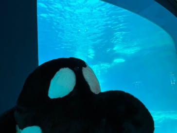 名古屋港水族館に投稿された画像（2023/9/16）