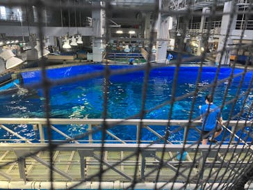 沖縄美ら海水族館に投稿された画像（2023/9/16）