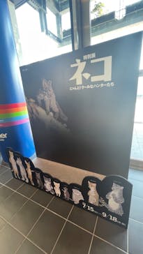 特別展「ネコ」 ～にゃんと！クールなハンターたち～に投稿された画像（2023/9/16）
