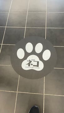 特別展「ネコ」 ～にゃんと！クールなハンターたち～に投稿された画像（2023/9/16）