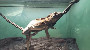 サンシャイン水族館に投稿された画像（2023/9/16）