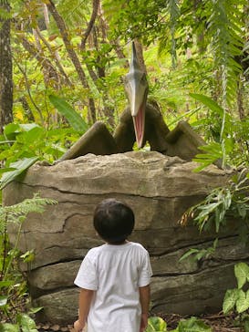 御菓子御殿　名護店　やんばる亜熱帯の森DINO恐竜PARKに投稿された画像（2023/9/16）