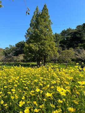 はままつフラワーパークに投稿された画像（2023/9/16）