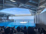 上越市立水族博物館 うみがたりに投稿された画像（2023/9/16）