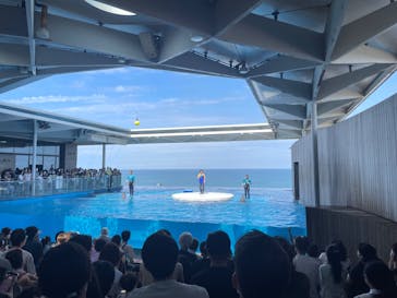 上越市立水族博物館 うみがたりに投稿された画像（2023/9/16）