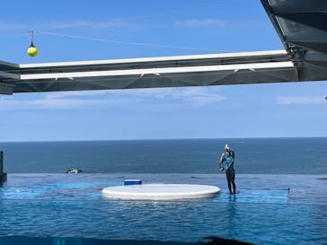 上越市立水族博物館 うみがたりに投稿された画像（2023/9/16）