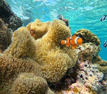 宮古島 ADVENTURE PiPi（ミヤコジマ アドベンチャー ピピ）に投稿された画像（2023/9/16）