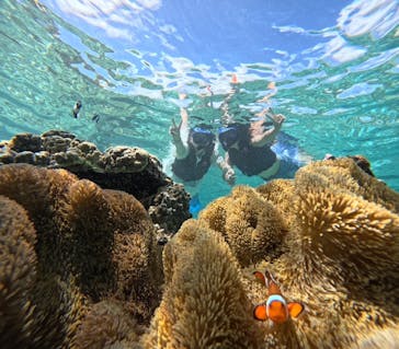 宮古島 ADVENTURE PiPi（ミヤコジマ アドベンチャー ピピ）に投稿された画像（2023/9/16）