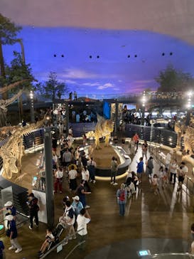 福井県立恐竜博物館に投稿された画像（2023/9/16）
