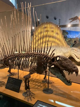 福井県立恐竜博物館に投稿された画像（2023/9/16）