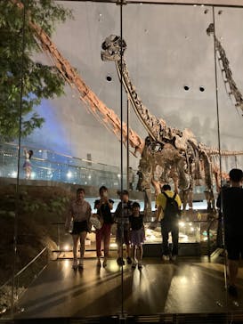 福井県立恐竜博物館に投稿された画像（2023/9/16）