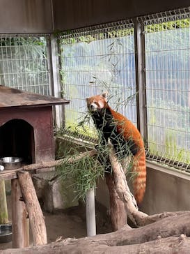 熱川バナナワニ園に投稿された画像（2023/9/16）