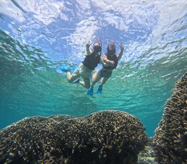 宮古島 ADVENTURE PiPi（ミヤコジマ アドベンチャー ピピ）に投稿された画像（2023/9/16）