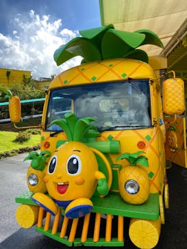 ナゴパイナップルパークに投稿された画像（2023/9/16）