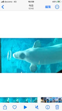 名古屋港水族館に投稿された画像（2023/9/16）