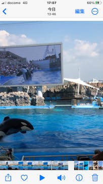 名古屋港水族館に投稿された画像（2023/9/16）
