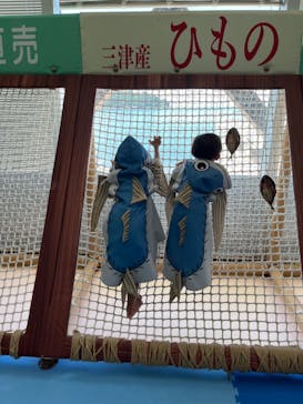 伊豆・三津シーパラダイスに投稿された画像（2023/9/16）