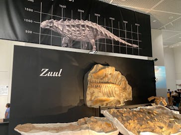 大阪市立自然史博物館に投稿された画像（2023/9/16）