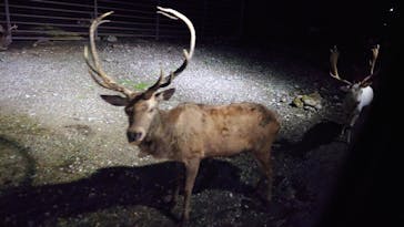 那須サファリパークに投稿された画像（2023/9/16）