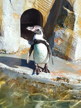 南知多ビーチランド＆南知多おもちゃ王国に投稿された画像（2023/9/16）