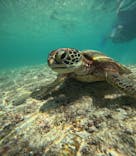 宮古島 ADVENTURE PiPi（ミヤコジマ アドベンチャー ピピ）に投稿された画像（2023/9/16）