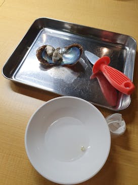 三重県真珠に投稿された画像（2023/9/16）