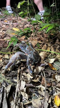 宮古島 ADVENTURE PiPi（ミヤコジマ アドベンチャー ピピ）に投稿された画像（2023/9/16）