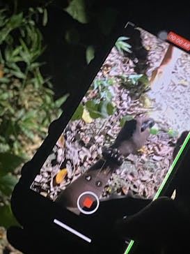 宮古島 ADVENTURE PiPi（ミヤコジマ アドベンチャー ピピ）に投稿された画像（2023/9/16）