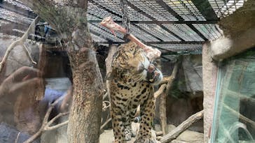 那須どうぶつ王国に投稿された画像（2023/9/16）