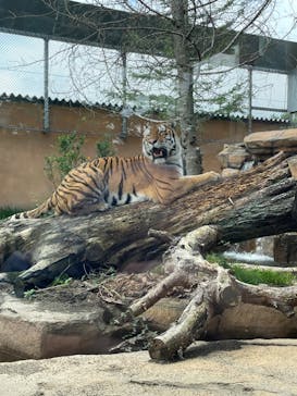 那須どうぶつ王国に投稿された画像（2023/9/16）